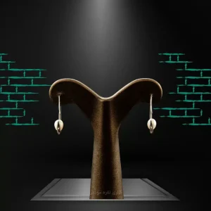 خرید گوشواره نقره آبکاری طلا