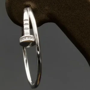 گوشواره نگین دار نقره زنانه - طرح میخ